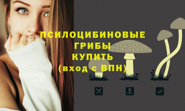MDMA Premium VHQ Волоколамск