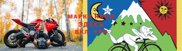 apvp Володарск